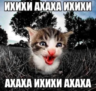 💊 emoji ну типа саси пон Telegram sticker 19 of 26