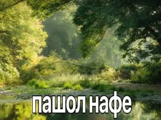 💊 emoji ну типа саси пон Telegram sticker 8 of 26
