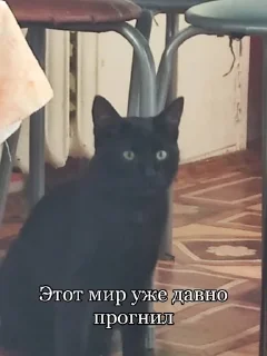 Sticker from Вольтерьер