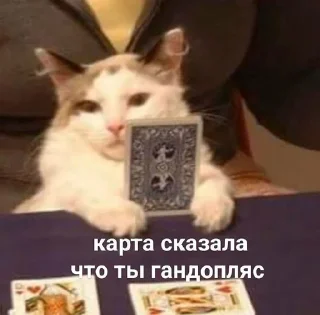 Sticker from Looool