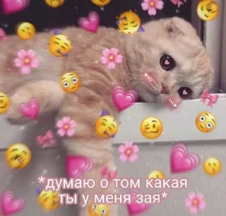 Love Cats sticker 2