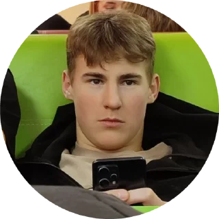 🫡 emoji Сэкнефоры Telegram sticker 8 of 24