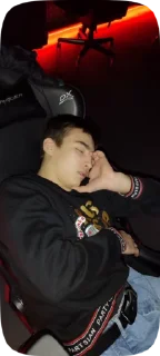 😴 emoji Сэкнефоры Telegram sticker 14 of 24