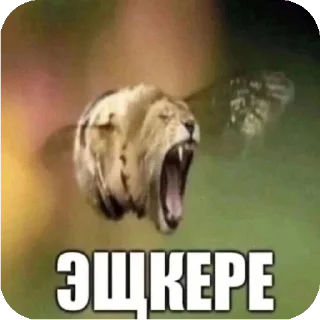 🔥 emoji ОБЩИЙ ЧАТ ПИЗДЕЦ @Themki_robot Telegram sticker 16 of 26