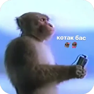 🫥 emoji кентафарики 💋💋 pack by @QuotLyBot Telegram sticker 6 of 73