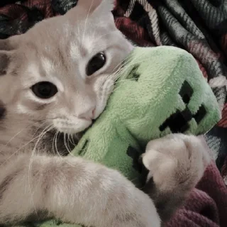 🐈‍⬛ emoji ААА,КОТЕКИИ. @kaffti Telegram sticker 18 of 50