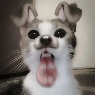 🐈‍⬛ emoji ААА,КОТЕКИИ. @kaffti Telegram sticker 24 of 50