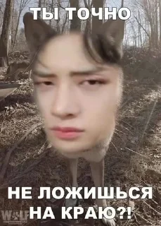 ⁉️ emoji Полный мэнияк😵 Telegram sticker 19 of 52