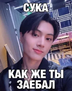 Sticker from мама я гей