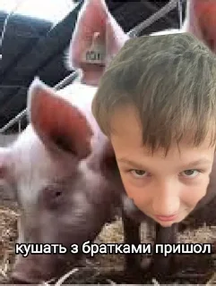🌟 emoji Пасхалко and будка Telegram sticker 5 of 33