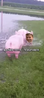 🌟 emoji Пасхалко and будка Telegram sticker 15 of 33