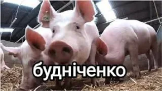 🌟 emoji Пасхалко and будка Telegram sticker 9 of 33