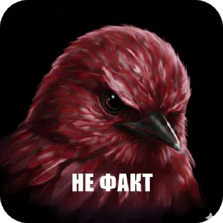 Sticker from птички --> @kushinft