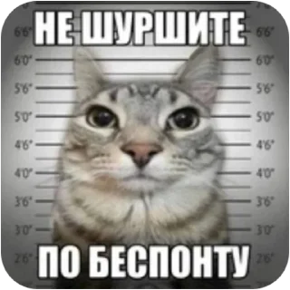 🐱 emoji Жми → @stickfav Telegram sticker 6 of 29