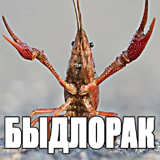 Sticker from Жми → @stickfav