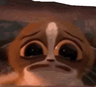 Sticker from Memes 21 century