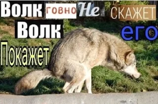Sticker from AufVolk