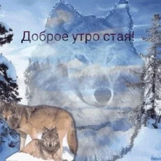 🥳 emoji эчкерембус Telegram sticker 24 of 80