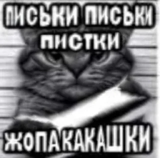 😡 emoji эчкерембус Telegram sticker 6 of 80