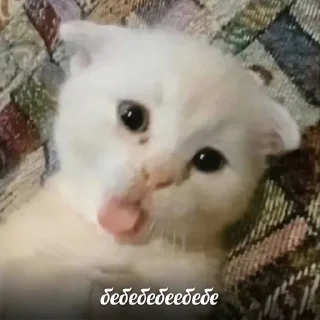 🤨 emoji эчкерембус Telegram sticker 1 of 80