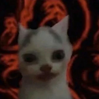 😾 emoji Веник поливает арбузы .- Telegram sticker 9 of 45