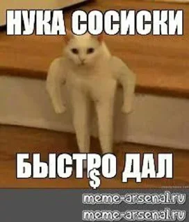Мемы sticker 3