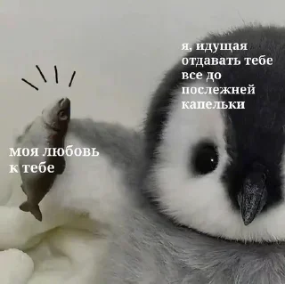 😊 emoji котики Telegram sticker 22 of 22