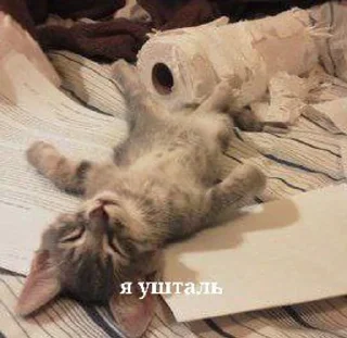 🌟 emoji котики Telegram sticker 14 of 22