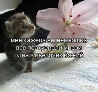 Sticker from разрози меня гроза