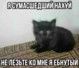 Sticker from разрози меня гроза