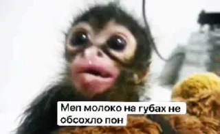 🤙 emoji ланыч пон Telegram sticker 11 of 50