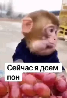 👄 emoji ланыч пон Telegram sticker 8 of 50
