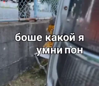 🤓 emoji ланыч пон Telegram sticker 22 of 50