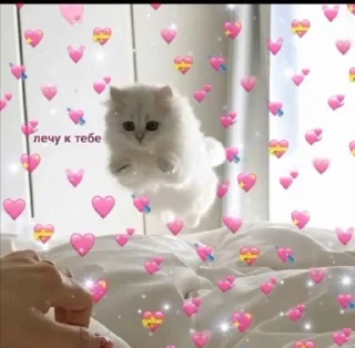 Sticker from I love you