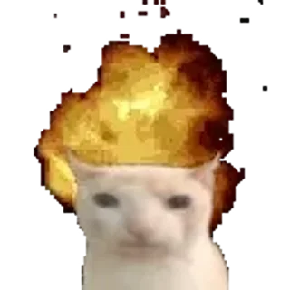 🤯 emoji Котики 2 Telegram sticker 13 of 93