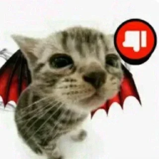 🐿 emoji Котики Telegram sticker 23 of 120
