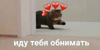 ❤️ emoji завали свой милый ебальничек Telegram sticker 21 of 32