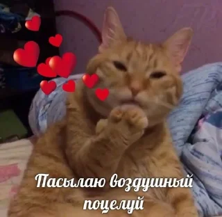❤️ emoji завали свой милый ебальничек Telegram sticker 20 of 32