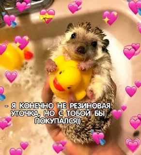 Sticker from завали свой милый ебальничек