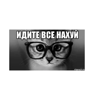 Sticker from яма стикер пак
