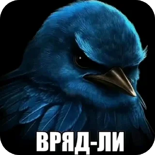 Sticker from Птички