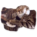 Sticker from MY