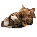 Sticker from MY