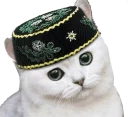 Sticker from Твои стикеры — @stckrRobot