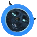 Sticker from Чьи-то там стикеры