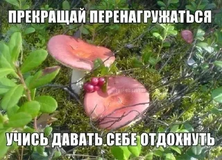 Sticker from Картиночки с текстом