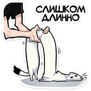 😶 emoji Горностай Гера @Nyasticks Telegram sticker 10 of 49