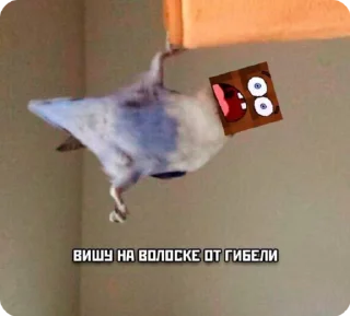 Sticker from Те жить надоело