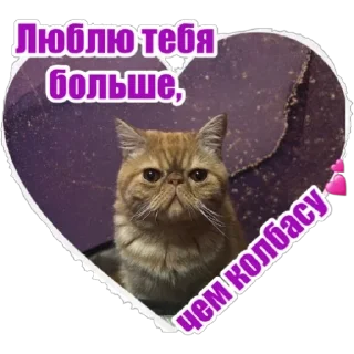 Sticker from Фокс🐈