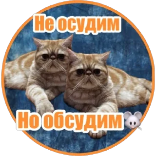 Sticker from Фокс🐈